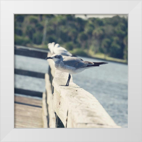 Look Out Dock I White Modern Wood Framed Art Print by Peck, Gail