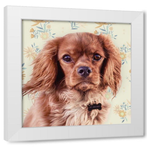 Florals and Spaniels White Modern Wood Framed Art Print by Josefina