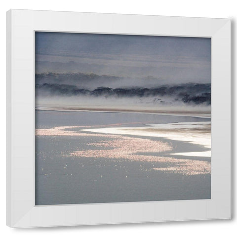 Flamingo Land Square White Modern Wood Framed Art Print by Walker, Carol