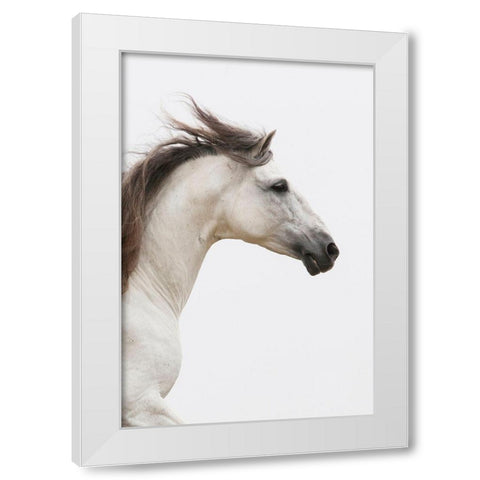 Straight Ahead White Modern Wood Framed Art Print by Walker, Carol