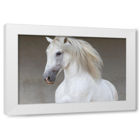 Calm Beauty White Modern Wood Framed Art Print by Walker, Carol