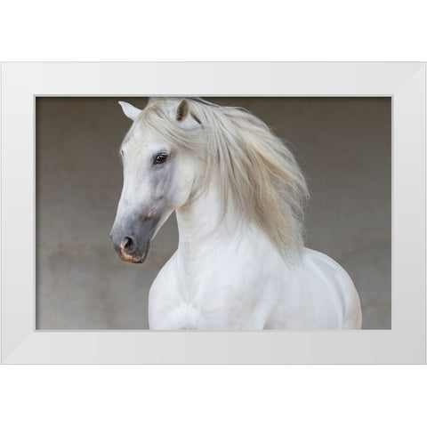 Calm Beauty White Modern Wood Framed Art Print by Walker, Carol