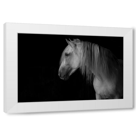 White Stallion in the Dark White Modern Wood Framed Art Print by Walker, Carol