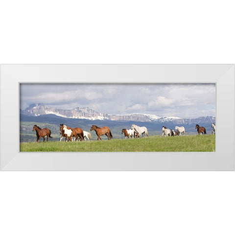 Absaroka Run White Modern Wood Framed Art Print by Walker, Carol