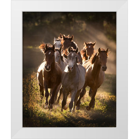 Running Mates White Modern Wood Framed Art Print by Walker, Carol