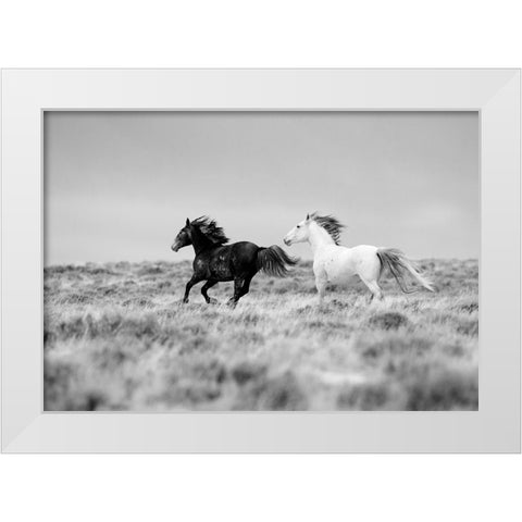 Black And White Mates White Modern Wood Framed Art Print by Walker, Carol