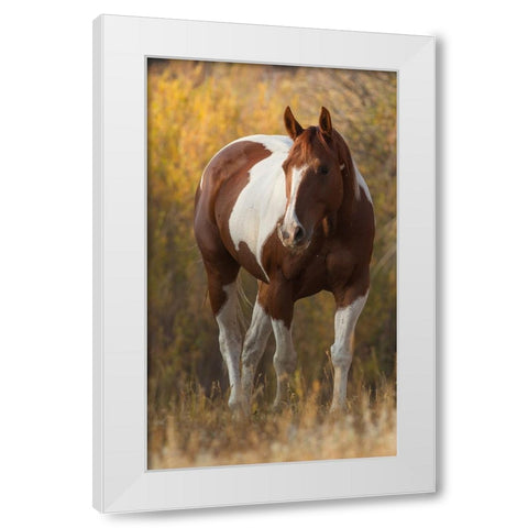 At Liberty White Modern Wood Framed Art Print by Walker, Carol