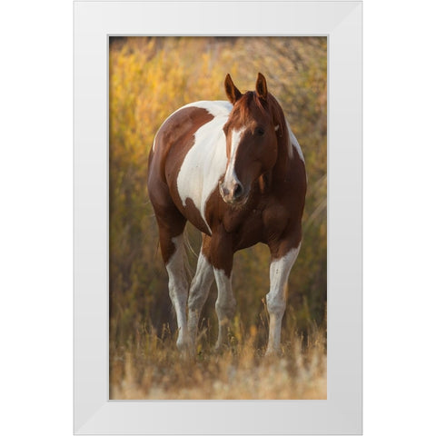 At Liberty White Modern Wood Framed Art Print by Walker, Carol