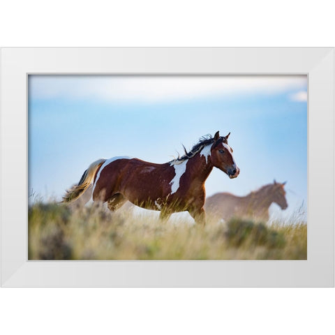 Eye Of The Horse White Modern Wood Framed Art Print by Walker, Carol