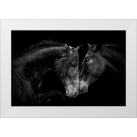 The Stallion and the Marell White Modern Wood Framed Art Print by Walker, Carol