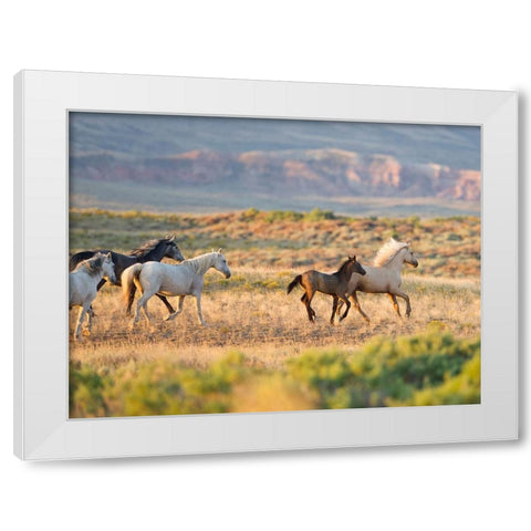 Morning Stroll White Modern Wood Framed Art Print by Walker, Carol