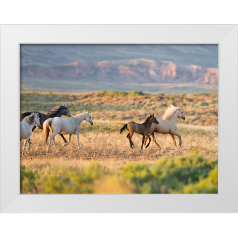 Morning Stroll White Modern Wood Framed Art Print by Walker, Carol