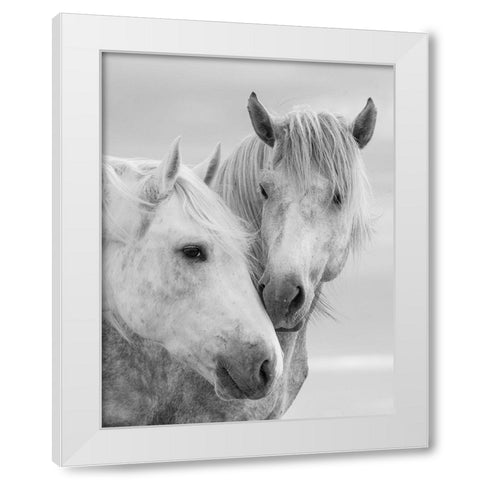 Horse Kisses White Modern Wood Framed Art Print by Walker, Carol