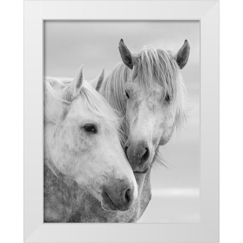 Horse Kisses White Modern Wood Framed Art Print by Walker, Carol