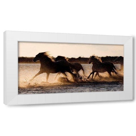 Shore Run White Modern Wood Framed Art Print by Walker, Carol