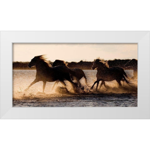 Shore Run White Modern Wood Framed Art Print by Walker, Carol