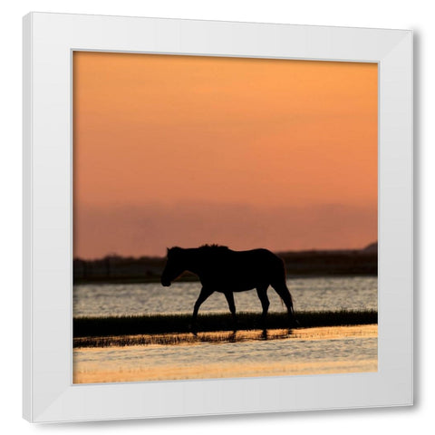 Sunset Stroll White Modern Wood Framed Art Print by Walker, Carol