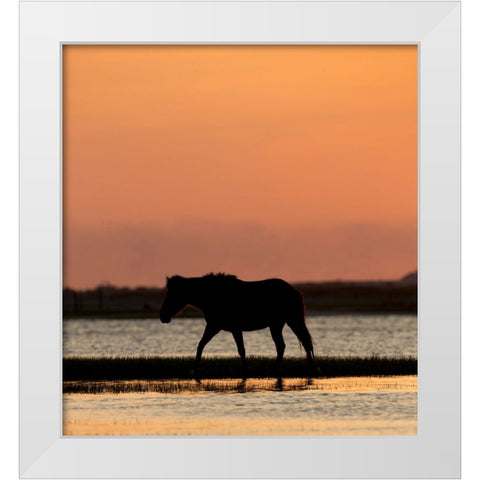 Sunset Stroll White Modern Wood Framed Art Print by Walker, Carol