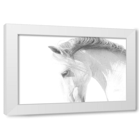 White Horse White Modern Wood Framed Art Print by Walker, Carol