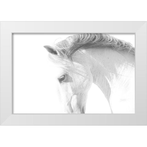 White Horse White Modern Wood Framed Art Print by Walker, Carol