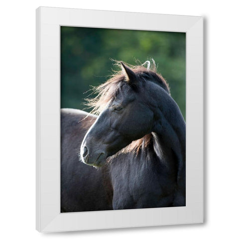 Mystic One White Modern Wood Framed Art Print by Walker, Carol