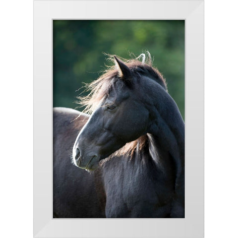 Mystic One White Modern Wood Framed Art Print by Walker, Carol