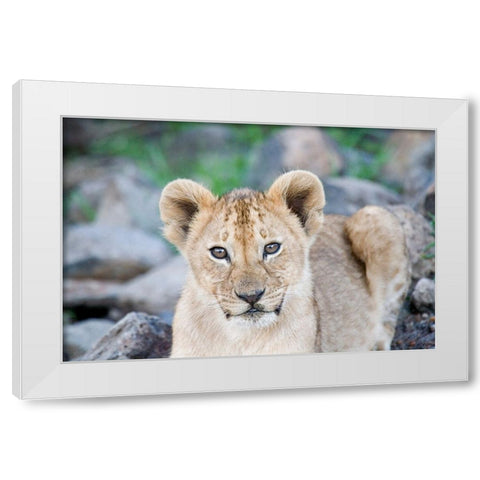 Up Close With Nature White Modern Wood Framed Art Print by Walker, Carol