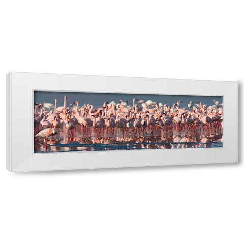 Flamingo Paradise White Modern Wood Framed Art Print by Walker, Carol