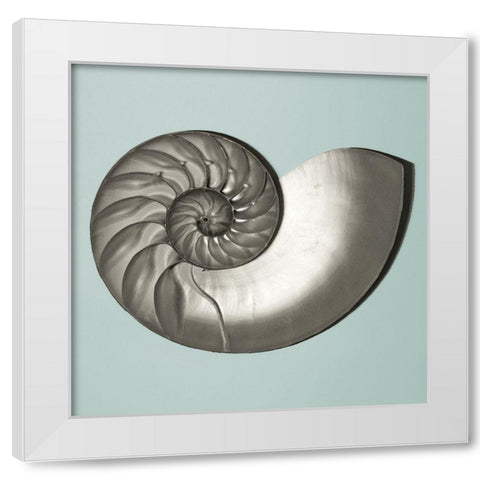 Noir Shell on Teal II White Modern Wood Framed Art Print by Rodriguez, Jairo