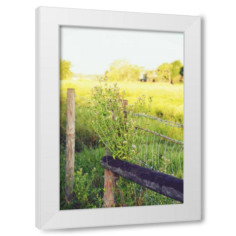 Flowers On The Fence II White Modern Wood Framed Art Print by Peck, Gail