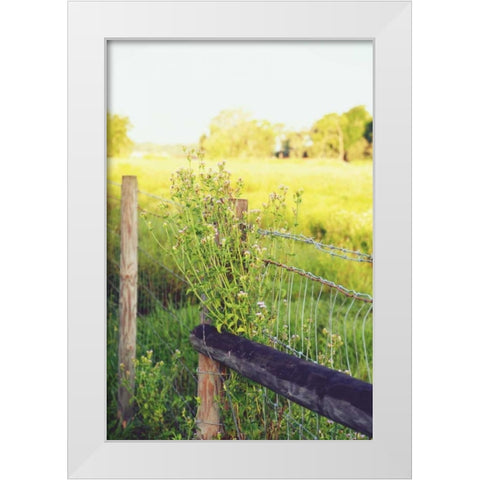 Flowers On The Fence II White Modern Wood Framed Art Print by Peck, Gail