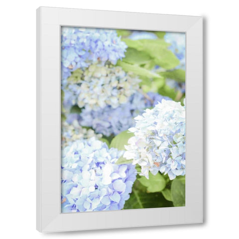Blooms White Modern Wood Framed Art Print by Peck, Gail