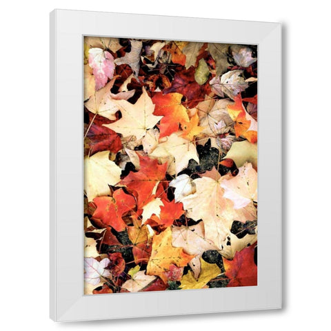 Autumn Falls White Modern Wood Framed Art Print by Peck, Gail