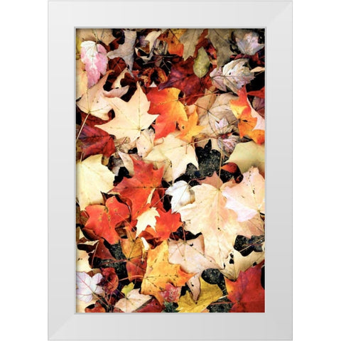 Autumn Falls White Modern Wood Framed Art Print by Peck, Gail