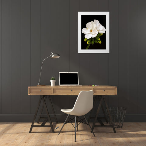 White Blooms White Modern Wood Framed Art Print by Peck, Gail