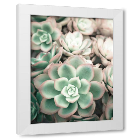Teal Blooms White Modern Wood Framed Art Print by Peck, Gail