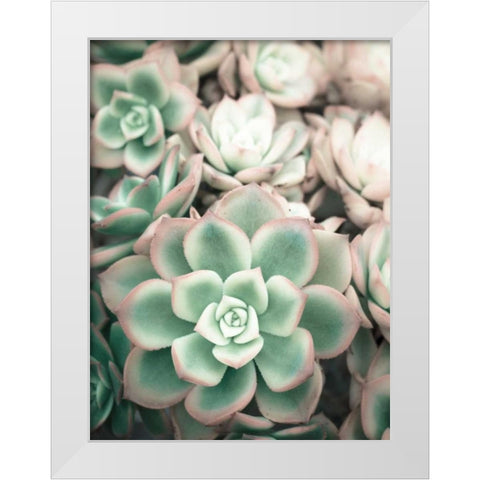 Teal Blooms White Modern Wood Framed Art Print by Peck, Gail
