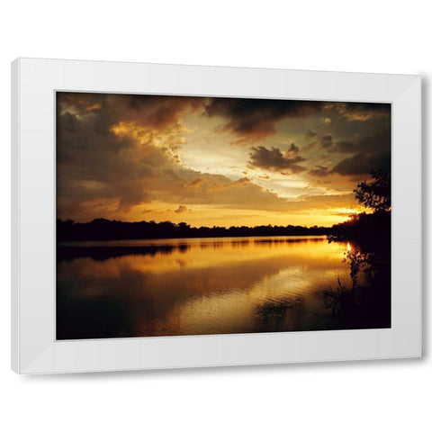 Yellow Sunset White Modern Wood Framed Art Print by Peck, Gail