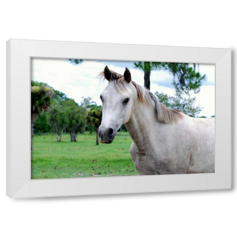 Dockside White Modern Wood Framed Art Print by Peck, Gail