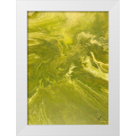 Daylight White Modern Wood Framed Art Print by Gonzalez, Roberto