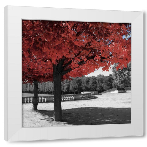 Garden Walk White Modern Wood Framed Art Print by Navas, Emily
