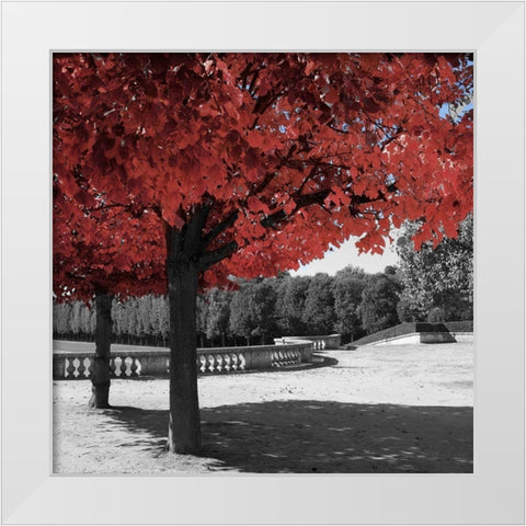 Garden Walk White Modern Wood Framed Art Print by Navas, Emily