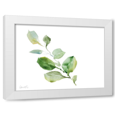 Clematis Leaf Branch White Modern Wood Framed Art Print by Loreth, Lanie