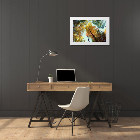 Looking Up White Modern Wood Framed Art Print by Wilson, Kali