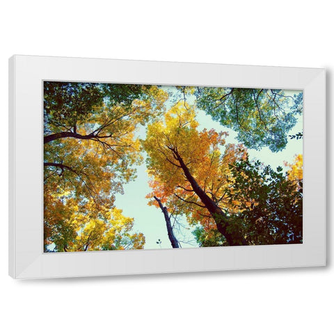 Looking Up White Modern Wood Framed Art Print by Wilson, Kali