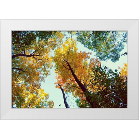 Looking Up White Modern Wood Framed Art Print by Wilson, Kali