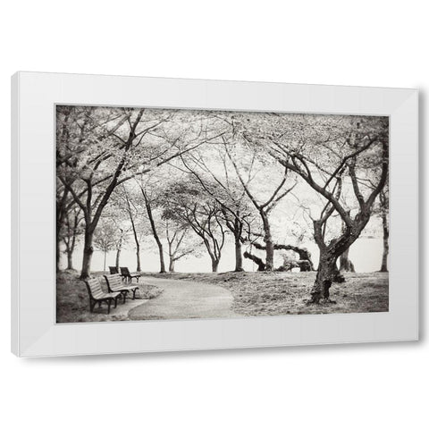Path Walk White Modern Wood Framed Art Print by Wilson, Kali