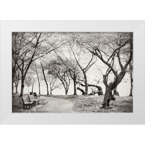 Path Walk White Modern Wood Framed Art Print by Wilson, Kali