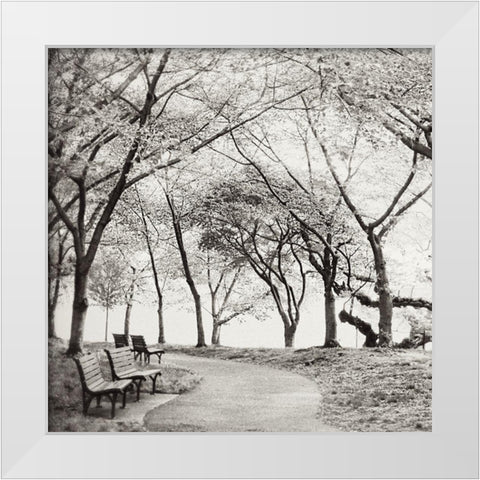 Virginia Park Walk White Modern Wood Framed Art Print by Wilson, Kali