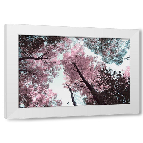 Blooming Cherry Blossom White Modern Wood Framed Art Print by Wilson, Kali